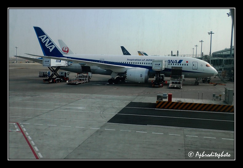 ANA Boeing B-787-881